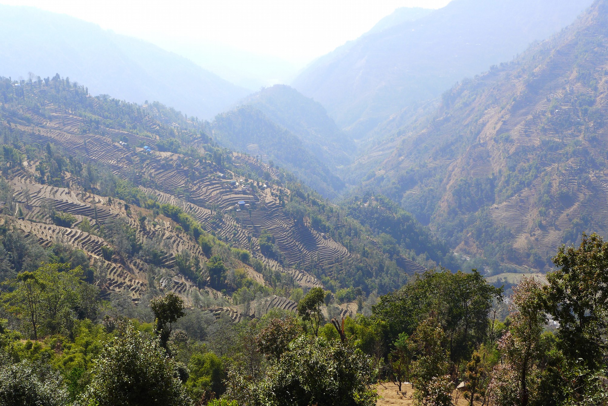 The holy hill Pikripcho where the Nachiring sacrificed cows in olden days. Cow sacrifices are nowadays prohibited in Nepal and not anymore performed by the Nachiring